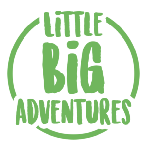 little big adventure flag